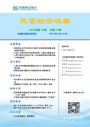 民营经济观察2019年第10期总第10期