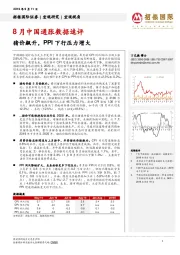 8月中国通胀数据速评：猪价飙升，PPI下行压力增大