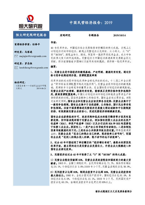 中国民营经济报告：2019