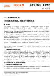 11月份物价数据点评：CPI通胀高点渐至，短期货币宽松受限