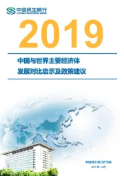 2019中国与世界主要经济体发展对比启示及政策建议