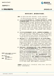 12月物价数据评论：物价环比转平，猪肉影响开始弱化