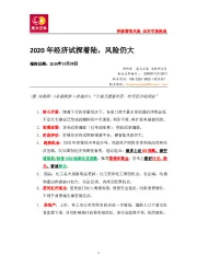 2020年经济试探着陆，风险仍大