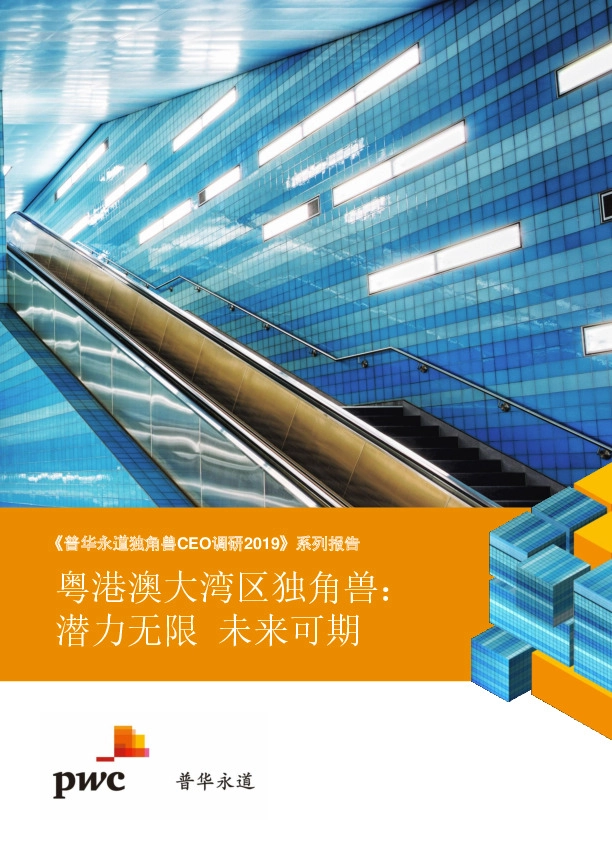 《普华永道独角兽CEO调研2019》系列报告：粤港澳大湾区独角兽：潜力无限未来可期