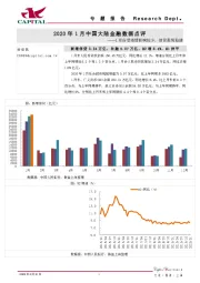 2020年1月中国大陆金融数据点评：1月份受疫情影响较少，信贷表现稳健