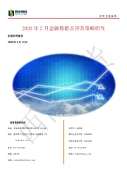 2020年2月金融数据点评及策略研究