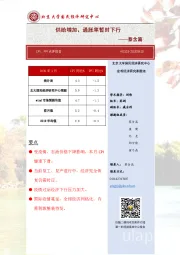 CPI、PPI点评报告：供给增 加，通胀率暂时下行