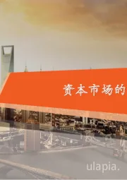 资本市场的高波动从何而来