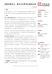 宏观点评：政策多维发力，湖北自由贸易区建设加速
