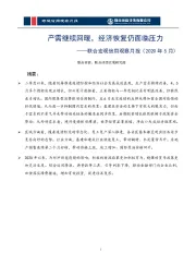 联合宏观信用观察月报（2020年5月）：产需继续回暖，经济恢复仍面临压力