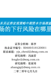 宏观策略中期资本市场展望:市场的下行风险在哪里?