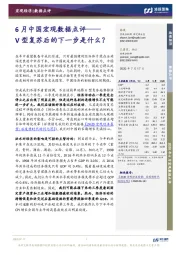 6月中国宏观数据点评：V型复苏后的下一步是什么？