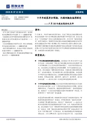 7月30日政治局会议点评：下半年政策符合预期，内循环概念值得探究