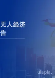 2020年中国无人经济市场研究报告