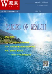 2020年第9期总第65期：评2020年中国宏观调控目标