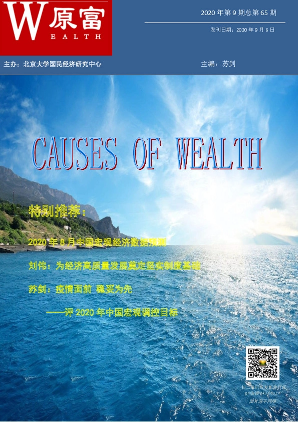 2020年第9期总第65期:评2020年中国宏观调控目标
