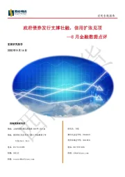 8月金融数据点评：政府债券发行支撑社融，信用扩张见顶