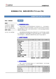宏观日报：美联储按兵不动，维持当前利率水平至2023年底