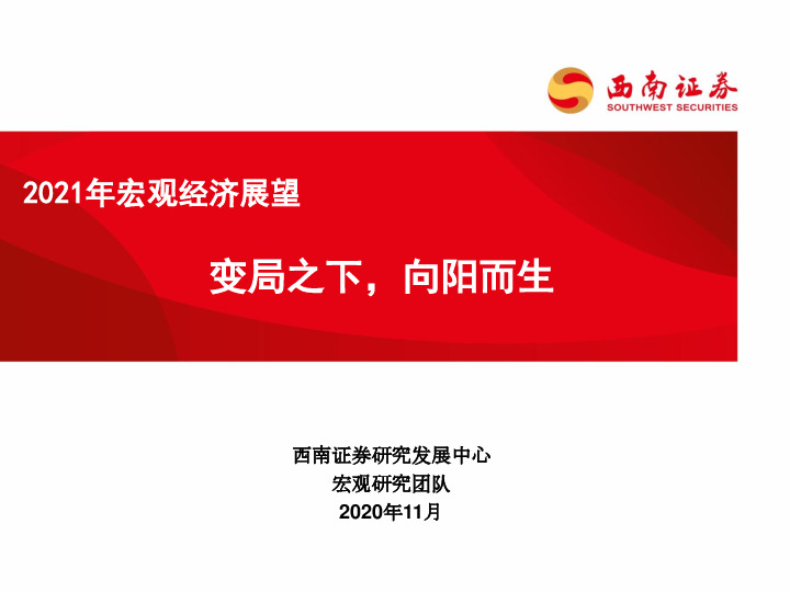 2021年宏观经济展望：变局之下，向阳而生