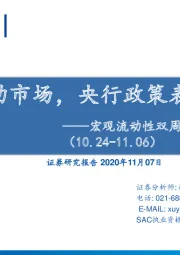 宏观流动性双周报第八期：美大选扰动市场，央行政策表态未转暖