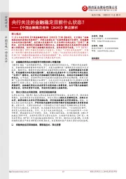 《中国金融稳定报告（2020）》要点解析：央行关注的金融稳定目前什么状态？