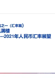 2021年人民币汇率展望：研究所年终宏观专稿之一（汇率篇）：山雨欲来风满楼