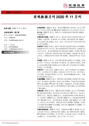 宏观数据月刊2020年11月刊