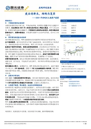 2021年宏观及大类资产展望：疫后迎新生，结构与复苏