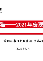 2021年宏观经济展望：薛定谔的猫