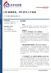 11月国内通胀数据点评：CPI继续探底，PPI重回上升通道