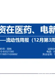 流动性周报（12月第3周）：内外资在医药、电新共振