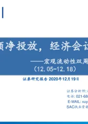 宏观流动性双周报第十一期：央行大额净投放，经济会议稳预期