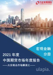 2020年市场回顾与2021年展望：中国宏观经济：节物风光不相待桑田碧海须臾改