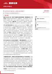 资产价格运行逻辑跟踪报告之一：黑色商品价格的上涨能否持续？