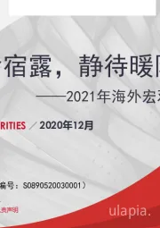 2021年海外宏观策略展望：晨光含宿露，静待暖阳来