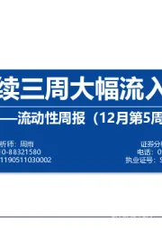 流动性周报（12月第5周）：外资连续三周大幅流入新能源