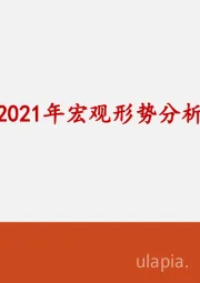 2021年宏观形势分析