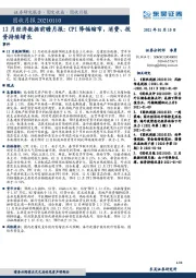 12月经济数据前瞻月报：CPI 降幅缩窄，消费、投资持续增长