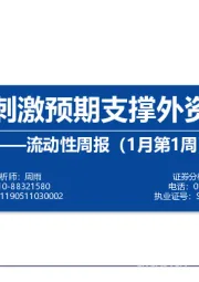 流动性周报（1月第1周）：美国财政刺激预期支撑外资持续流入