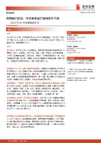 2020年12月贸易数据点评:供需缺口仍在,中国未来出口强劲势头不改