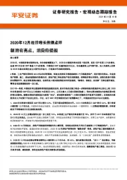 2020年12月经济增长数据点评：制造有亮点，消费待提振