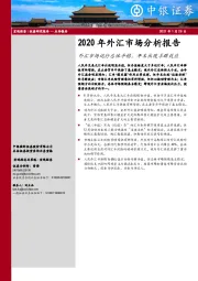 2020年外汇市场分析报告：外汇市场运行总体平稳，年末出现羊群效应