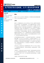 2021年1月PMI数据点评：生产需求扩张力度减弱，大中小型企业分化收敛