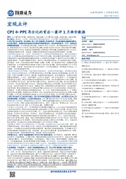 宏观点评-兼评1月物价数据：CPI和PPI再分化的背后