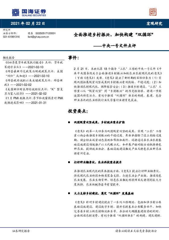 中央一号文件点评：全面推进乡村振兴，加快构建“双循环”