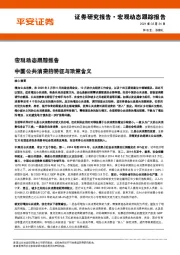 宏观动态跟踪报告：中国公共消费的特征与政策含义
