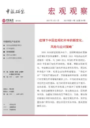 宏观观察2021年第11期（总第334期）：疫情下中国宏观杠杆率的新变化、风险与应对策略