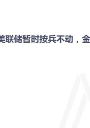 宏观经济、贵金属周报：美联储暂时按兵不动，金银价格低位震荡