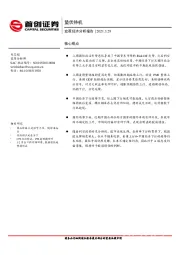 宏观经济分析报告：蛰伏待机