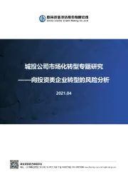 城投公司市场化转型专题研究：向投资类企业转型的风险分析